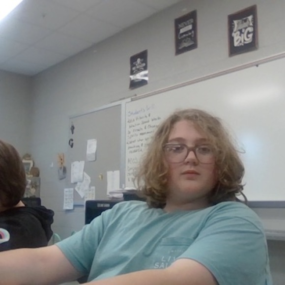 Meet your Posher, Riley - Picture 1 of 1